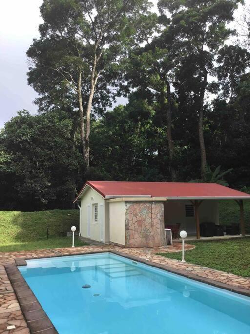 Les Lucioles 1 Beau T2 En Foret Tropicale Avec Acces Piscine Saint-Joseph Екстер'єр фото