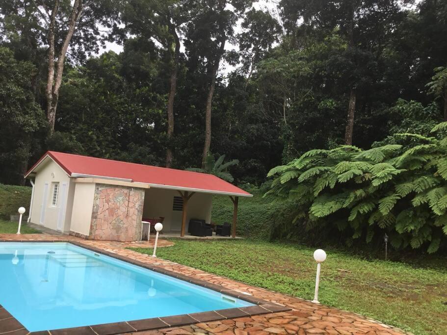 Les Lucioles 1 Beau T2 En Foret Tropicale Avec Acces Piscine Saint-Joseph Екстер'єр фото