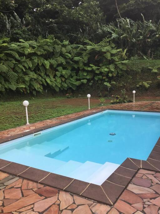 Les Lucioles 1 Beau T2 En Foret Tropicale Avec Acces Piscine Saint-Joseph Екстер'єр фото