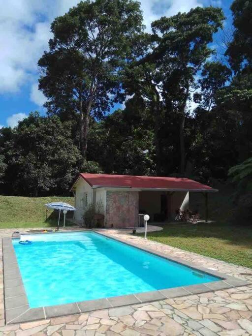 Les Lucioles 1 Beau T2 En Foret Tropicale Avec Acces Piscine Saint-Joseph Екстер'єр фото